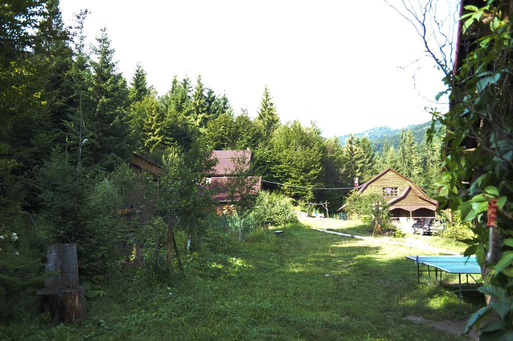 Zarinok Hotel Pilipets Exterior photo
